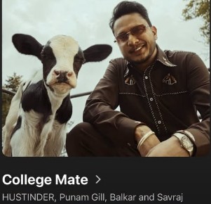College Mate