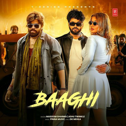 Baaghi