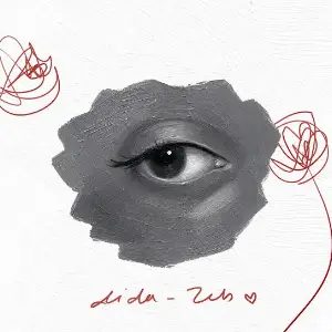 Dida-zeb