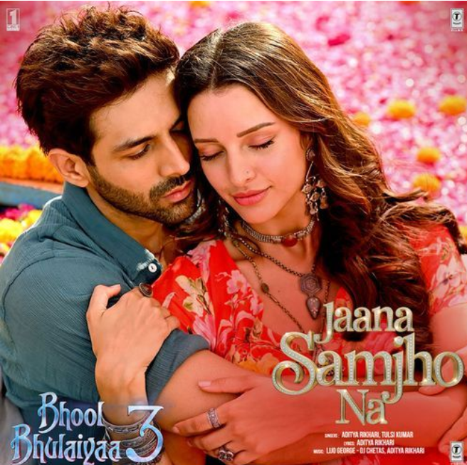 Jaana Samjho Na - Bhool Bhulaiyaa 3